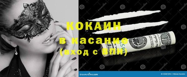 ГАЛЛЮЦИНОГЕННЫЕ ГРИБЫ Лагань
