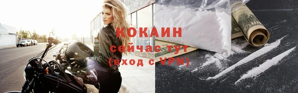ГАЛЛЮЦИНОГЕННЫЕ ГРИБЫ Лагань