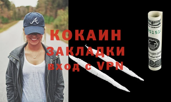 индика Мурманск