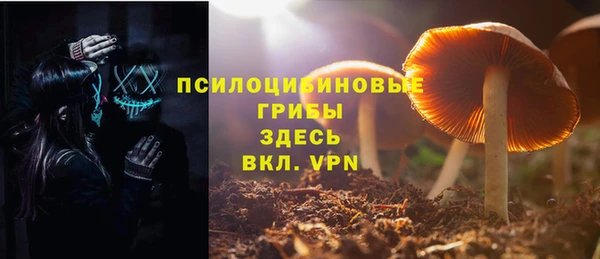 стафф Нижневартовск