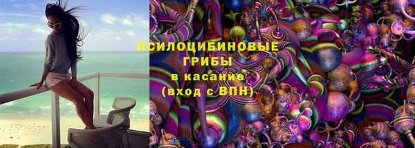 ГАЛЛЮЦИНОГЕННЫЕ ГРИБЫ Лагань