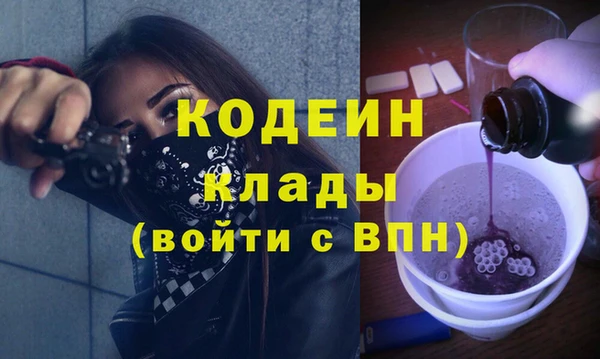 ГАЛЛЮЦИНОГЕННЫЕ ГРИБЫ Лагань