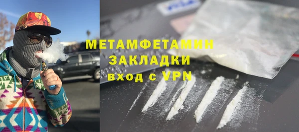 ГАЛЛЮЦИНОГЕННЫЕ ГРИБЫ Лагань