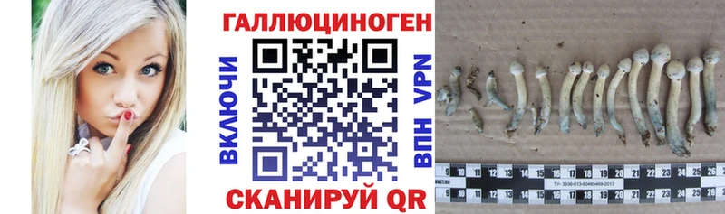 Галлюциногенные грибы прущие грибы  наркота  Аткарск 