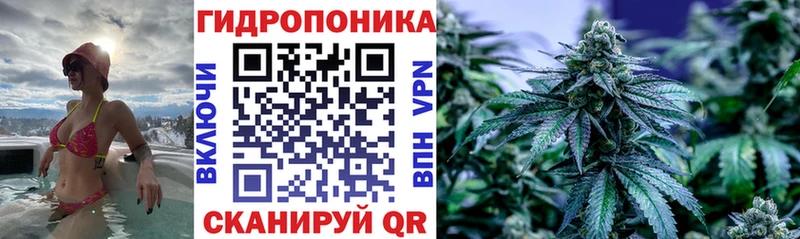 сколько стоит Аткарск Канабис Ganja